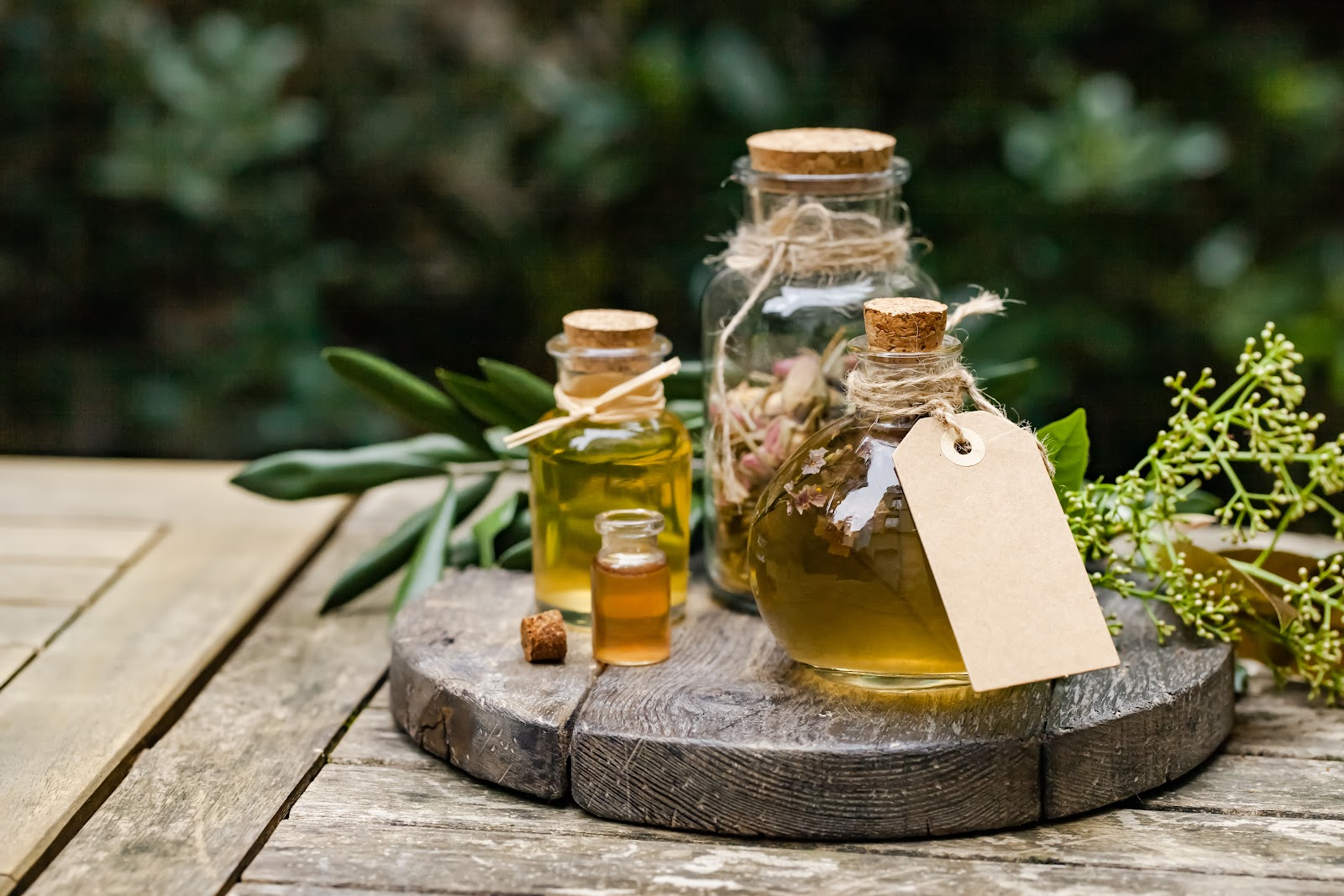 Discover a Grounding World of Wellness and Empowerment