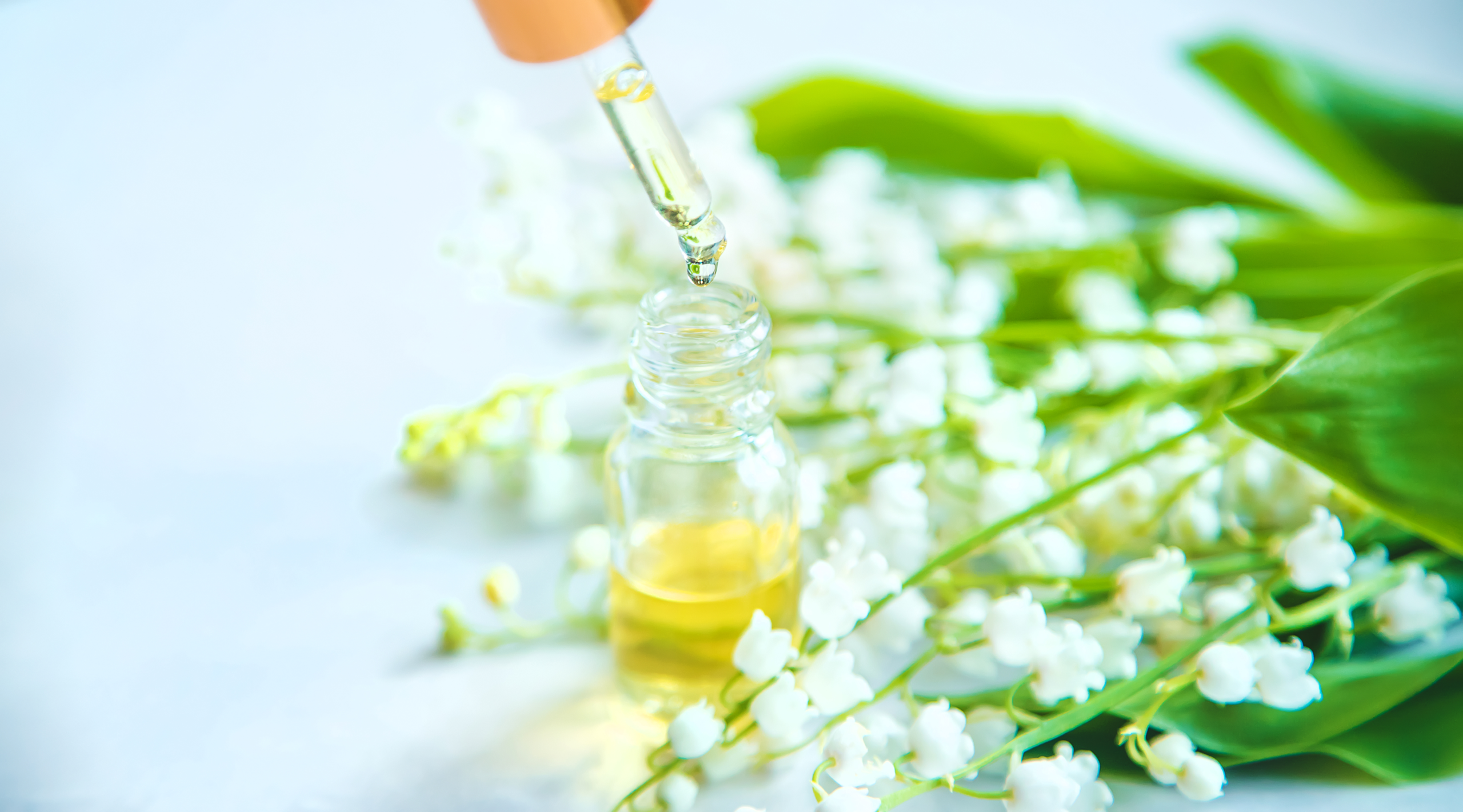 Copaiba Oil’s Magic: How One Gentle Oil Can Transform Your Mood, Muscles & Skin